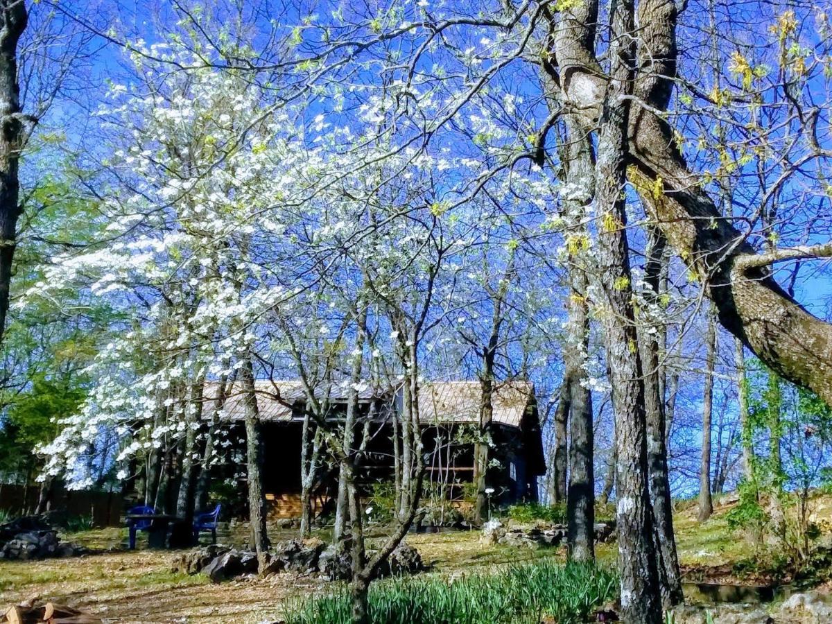 Cherokee Mountain Log Cabins 유레카 스프링스 외부 사진