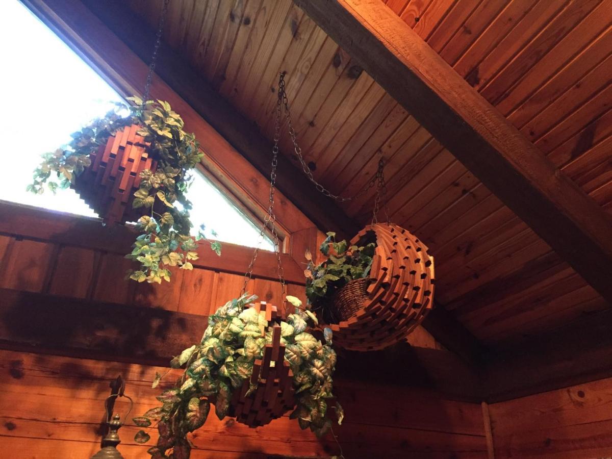 Cherokee Mountain Log Cabins 유레카 스프링스 외부 사진